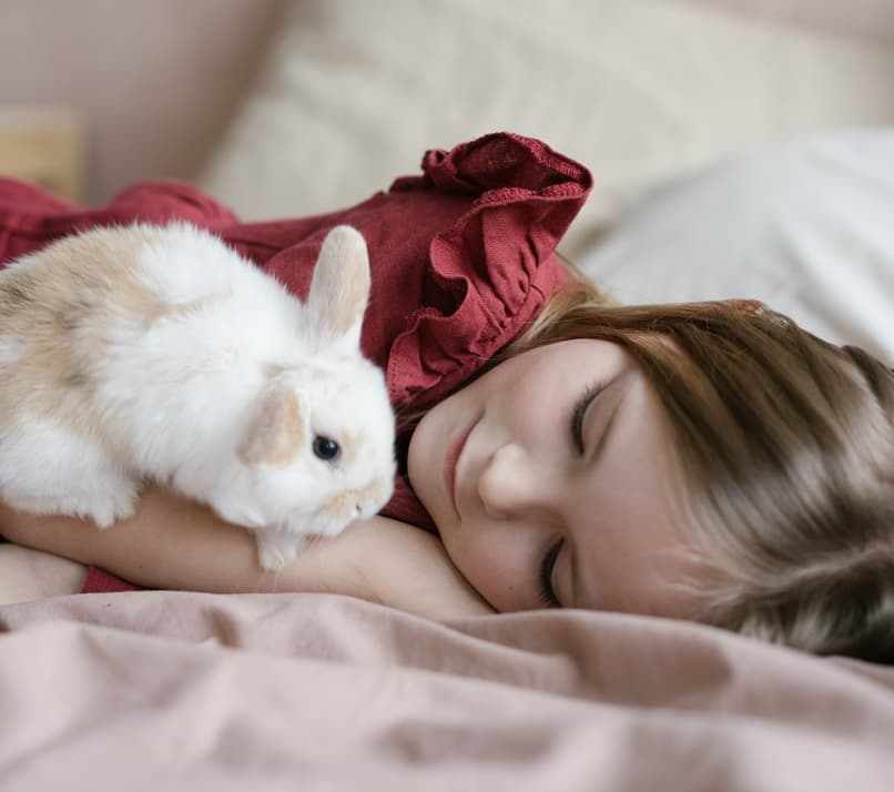 conejo en la cama con una nina