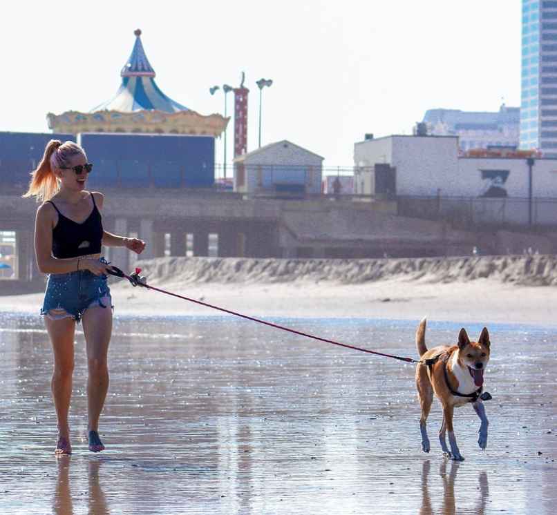 perro y mujer paseando en la playa